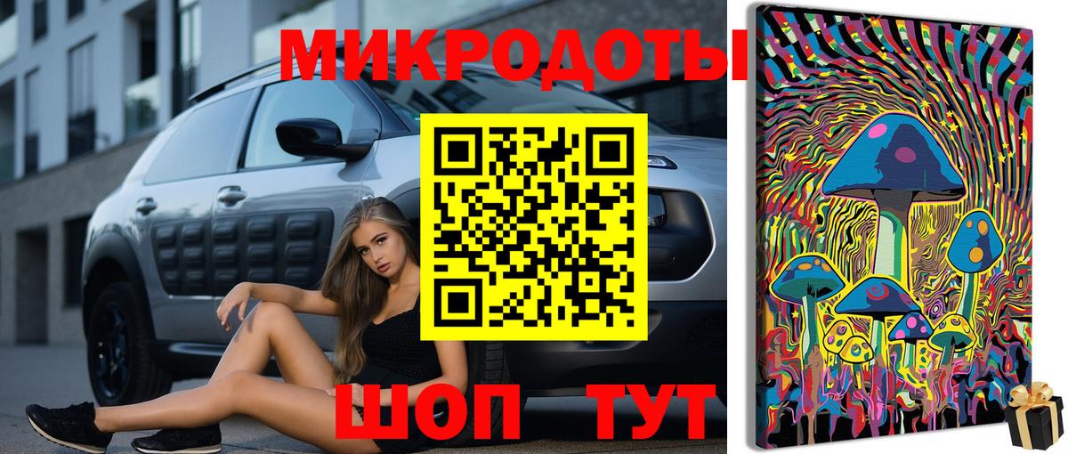 Псилоцибиновые грибы Psilocybe Можга